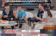 娱乐从跟离婚,从明星婚姻到离婚风波的华丽转身