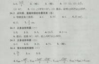 九上数学补充习题答案,九上数学补充习题答案解析与概述