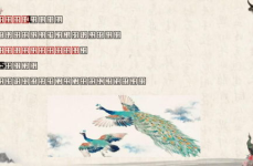 孔雀东南飞ppt,探寻古代爱情悲剧与乐府文化