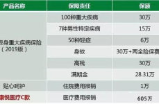康宁终身保险退还方式,全面解析与选择指南