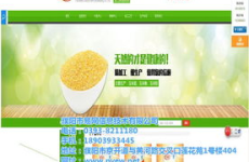 濮阳网站推广,助力企业线上腾飞，打造区域品牌新高度