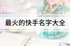 最火的快手名字大全，快手个性网名