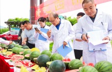 中国人的“吃瓜自由”底气越来越足