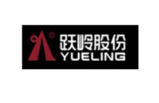 跃岭股份,创新驱动，引领汽车零部件行业新篇章