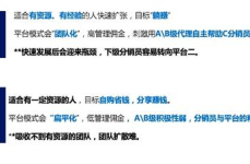 分销平台如何赚钱,多渠道营销策略全解析”
