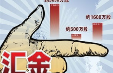 汇金增持,提振市场信心，引领资本市场新动向