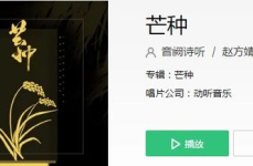 芒种歌词,时光流转，青春记忆里的诗意篇章