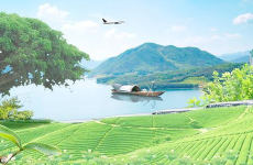 田野上的悠闲生活,田野生活的宁静画卷